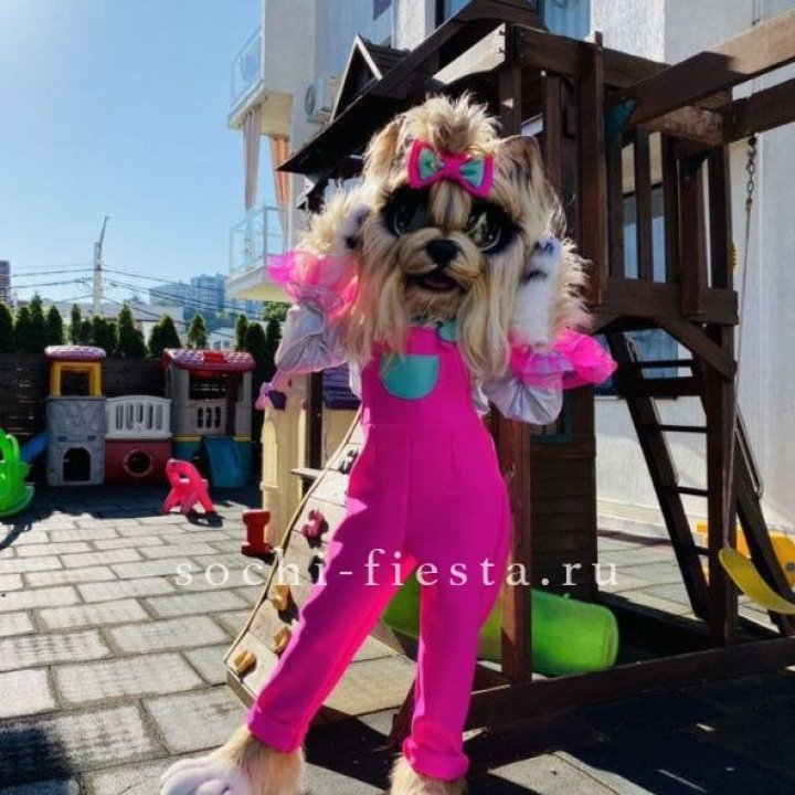 Аниматор Гламурная Собака в Волжские