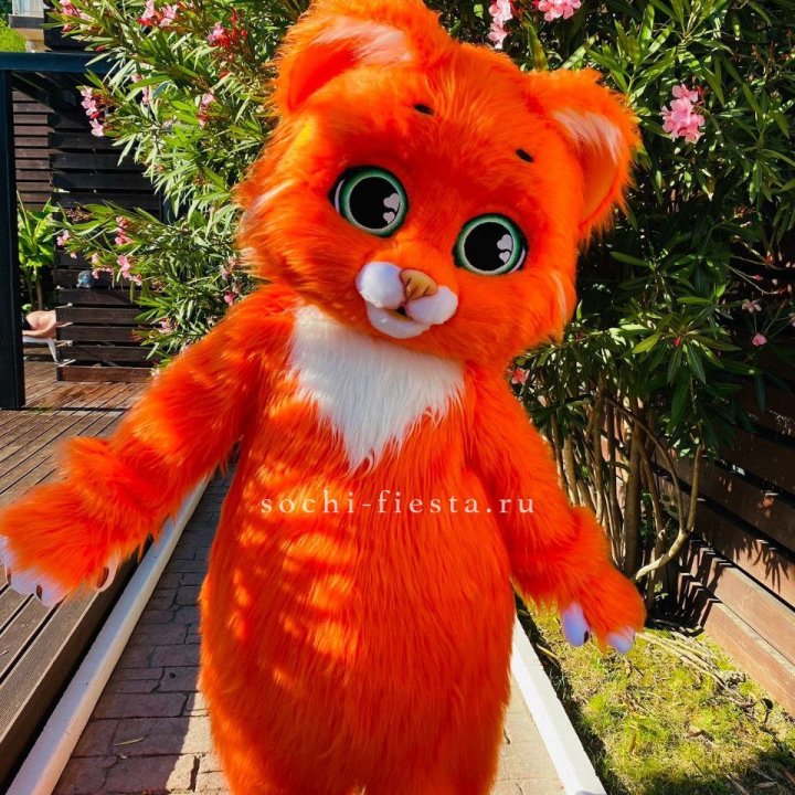 Аниматор Котик в Волжские