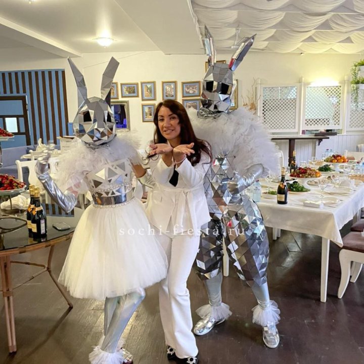 Аниматор Зеркальный заяц в Волжские