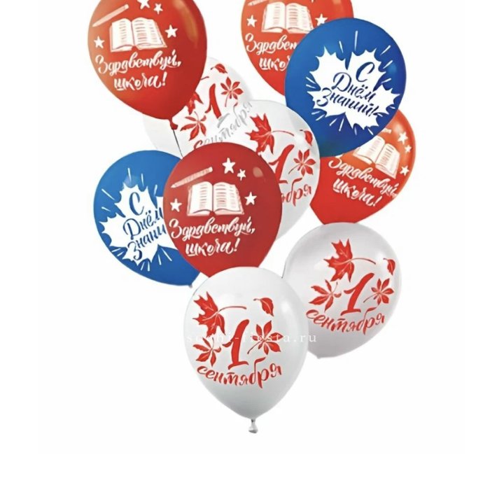 Воздушный шар на день знаний в Волжские