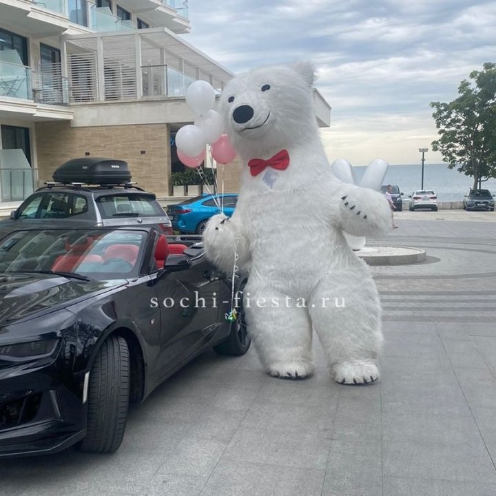 Аниматор Белый Медведь в Волжские