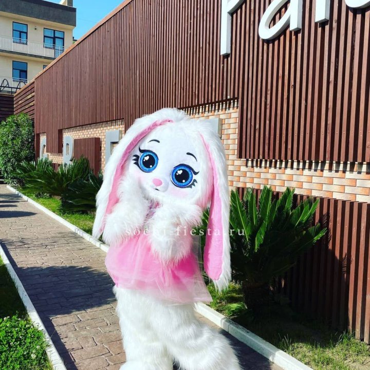 Аниматор Зайка в Волжские