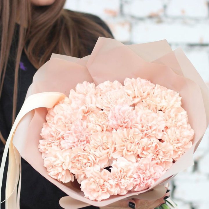 Диантусы №2 в Волжские