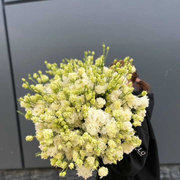 51 белая эустома в Волжские