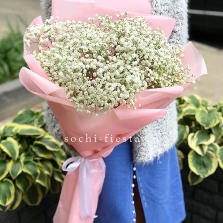 Белоснежные гипсофилы в Волжские