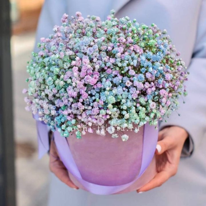 Гипсофилы в шляпной коробке "Кандилайт" в Волжские