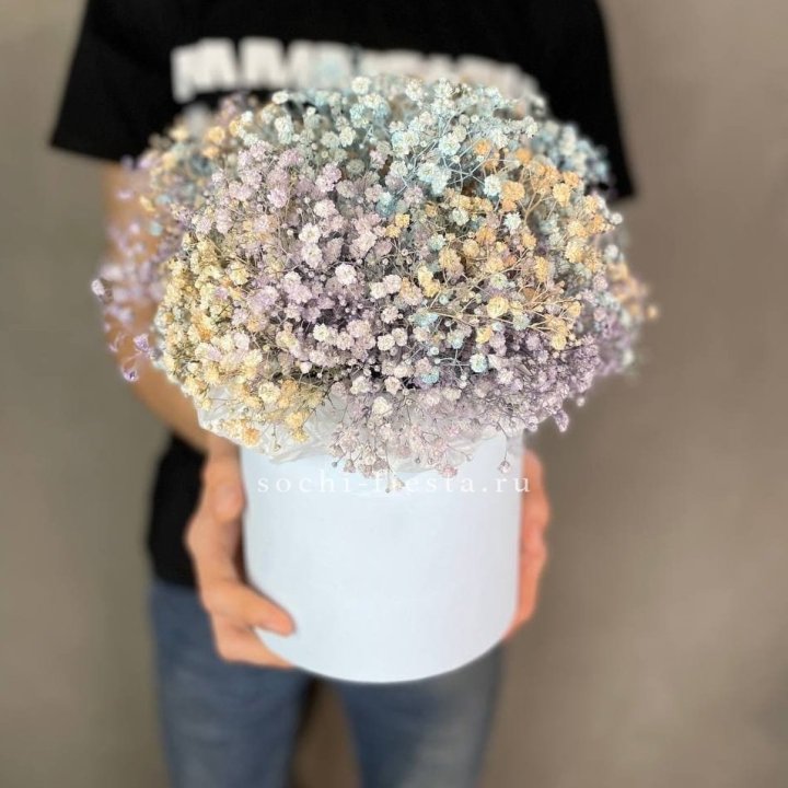 9 Радужных гипсофил в шляпной коробке в Волжские