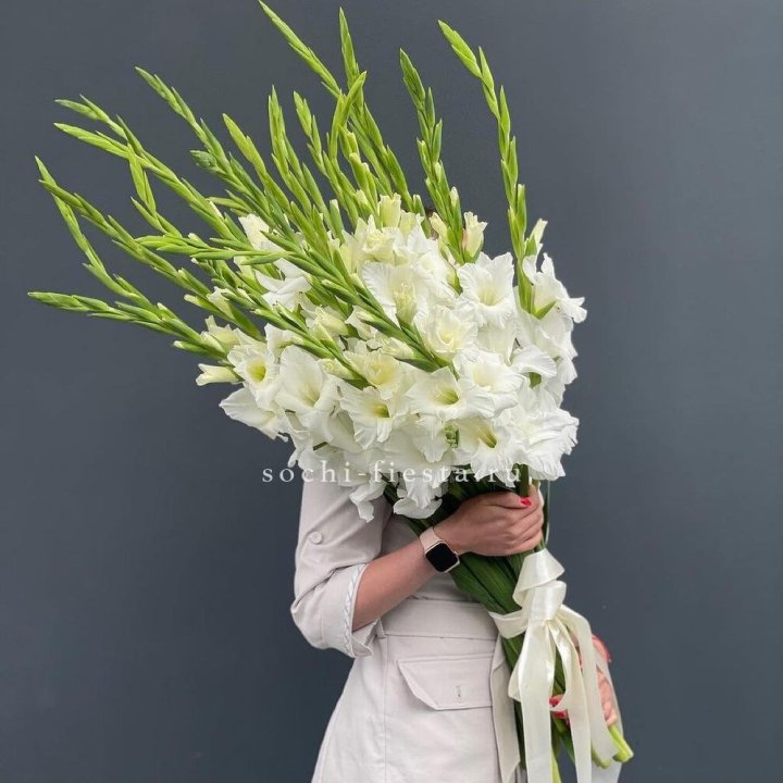 19 белых гладиолусов под ленту в Волжские