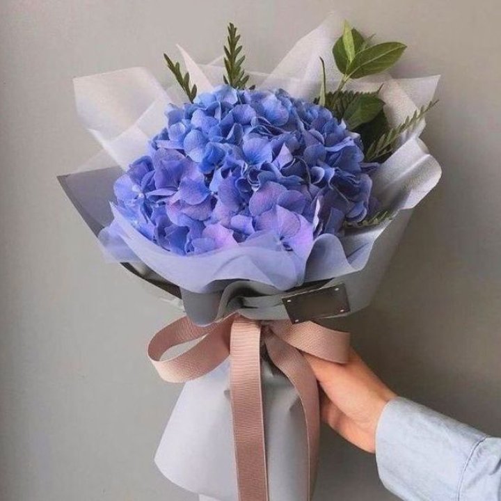 Гортензия голубая в Волжские