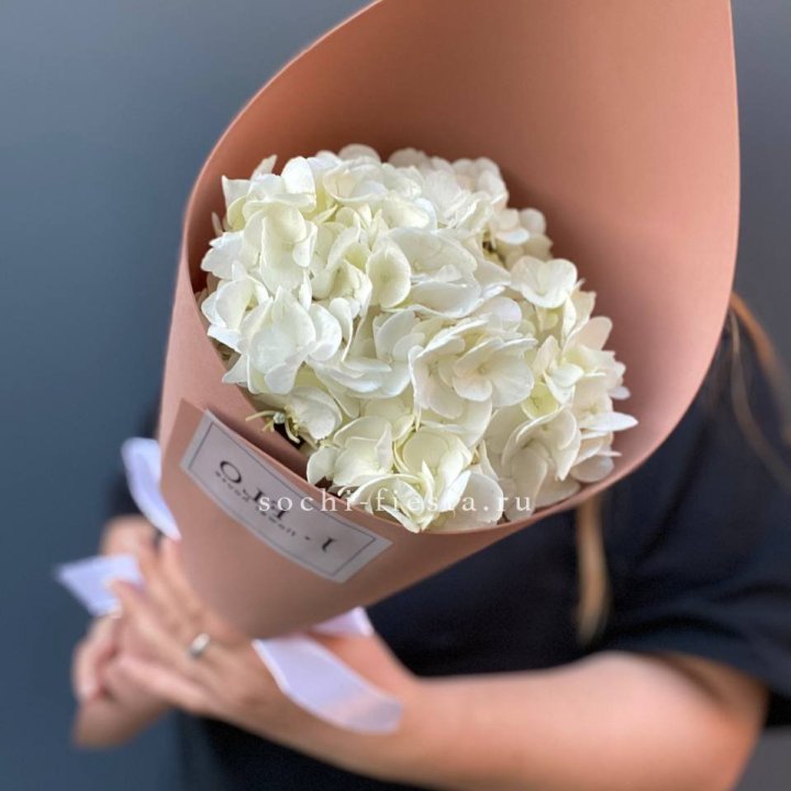 Гортензия в конверте в Волжские
