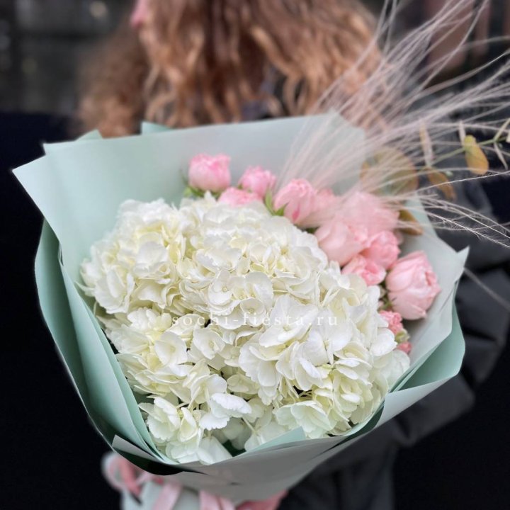 Гортензия "Жасмин" в Волжские