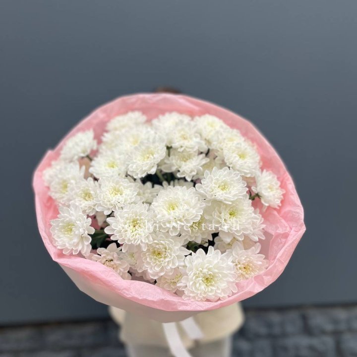  5 хризантем  в Волжские