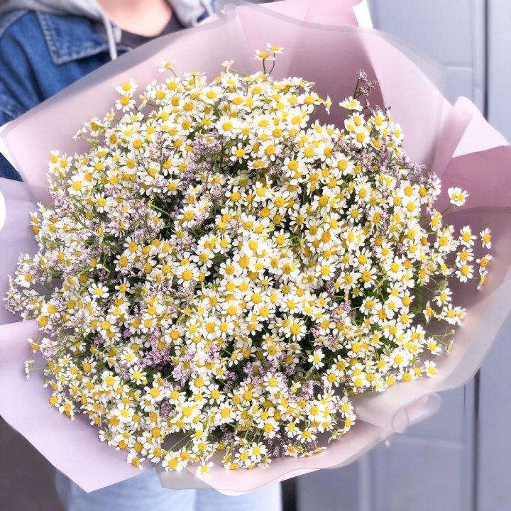 Букет ромашек №1 в Волжские