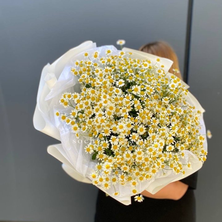 Букет ромашек "Фемели" в Волжские