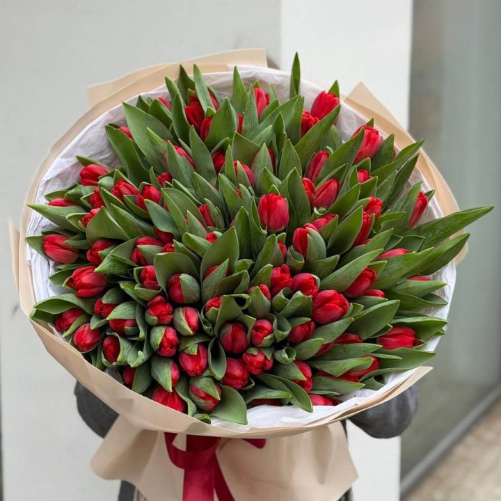 101 красный тюльпан в Волжские