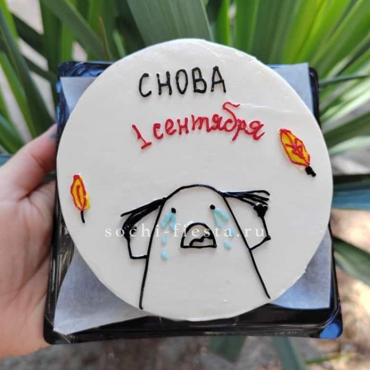 Бенто-торт "Не опять, а снова..." в Волжские