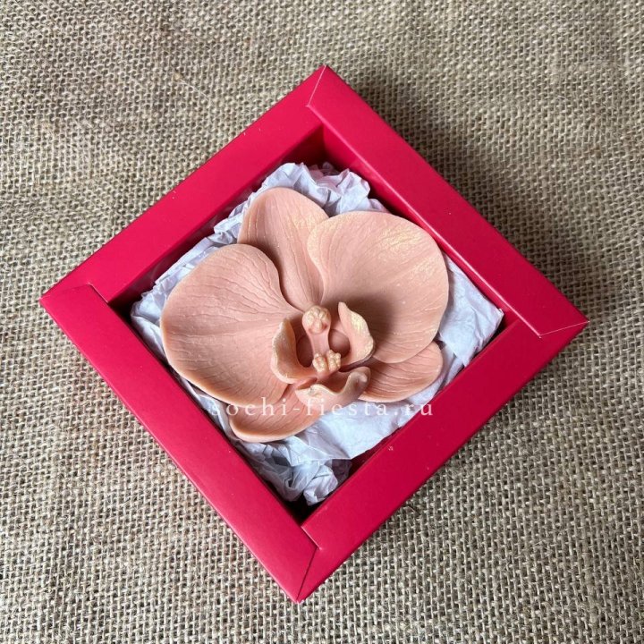 Бельгийский шоколад Орхидея в Волжские