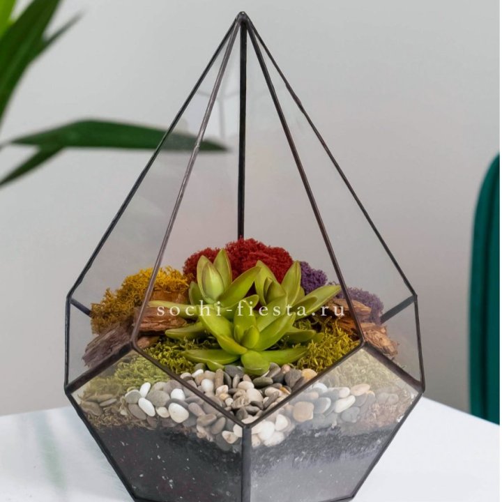 Флорариум Капля с суккулентом в Волжские