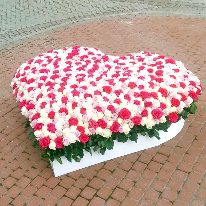 555 роза  в Волжские