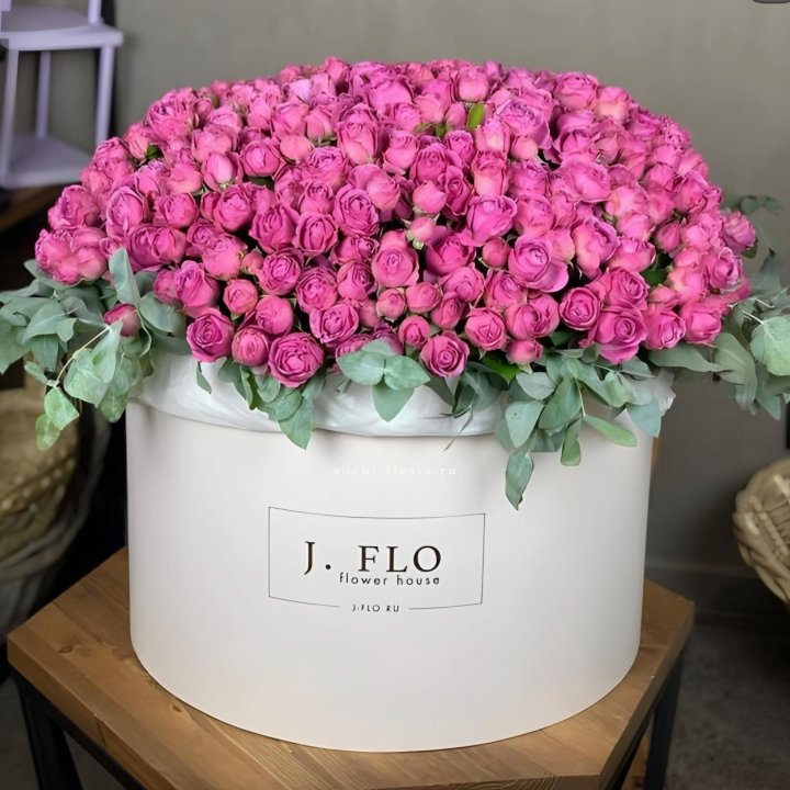 Цилиндр с Мисти Бабблс  в Волжские