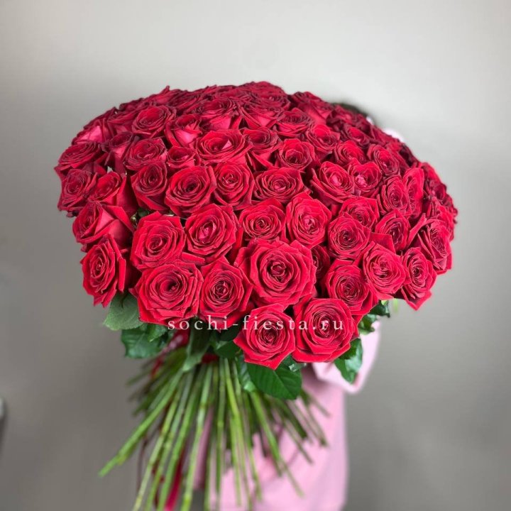 101  голландская роза  в Волжские