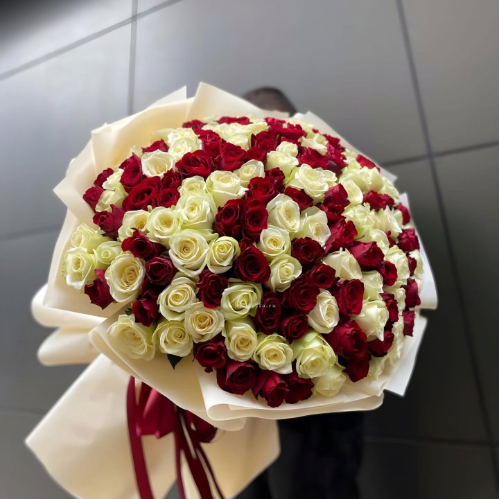 101 высокая импортная роза  в Волжские