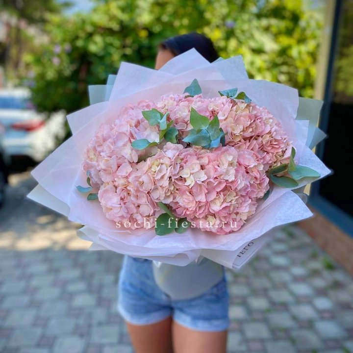 5 розовых гортензий  в Волжские