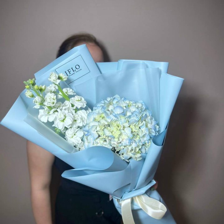 Гортензия голубая с маттиолой в Волжские