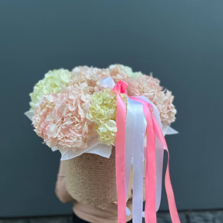 7 гортензий в кашпо в Волжские