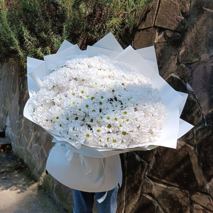 Облако хризантем №2 в Волжские