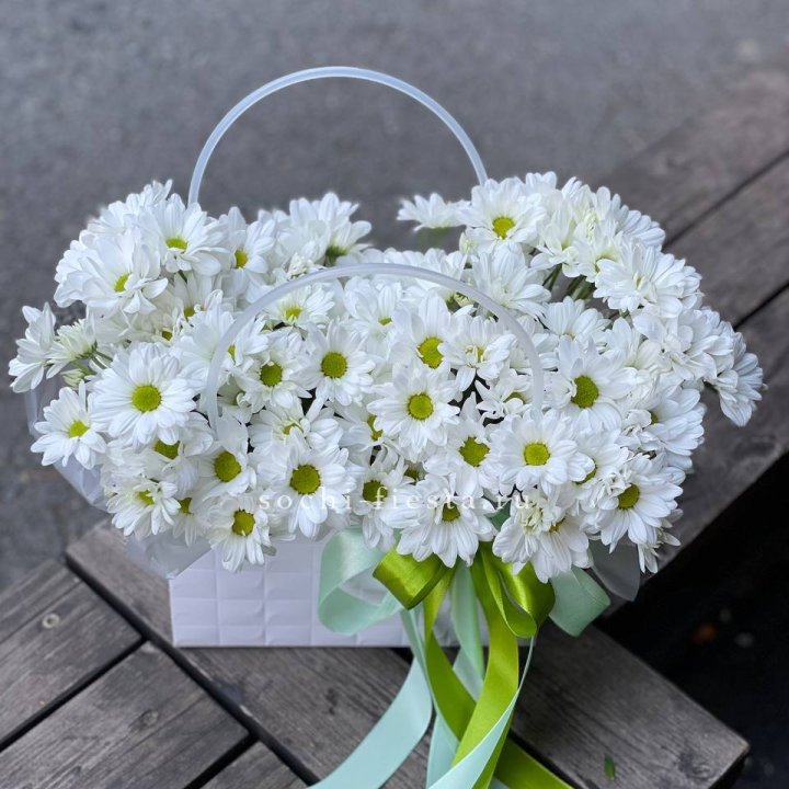 Сумка с хризантемами ромашками в Волжские