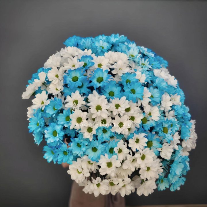  Букет хризантем микс в Волжские