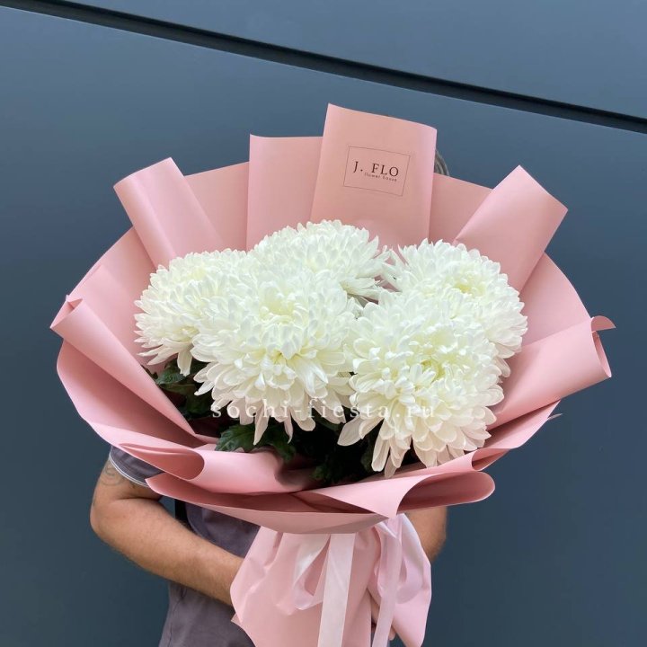 Профитроли №2 в Волжские