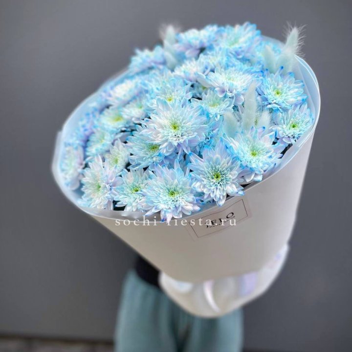  Букет нежно-голубых хризантем  в Волжские