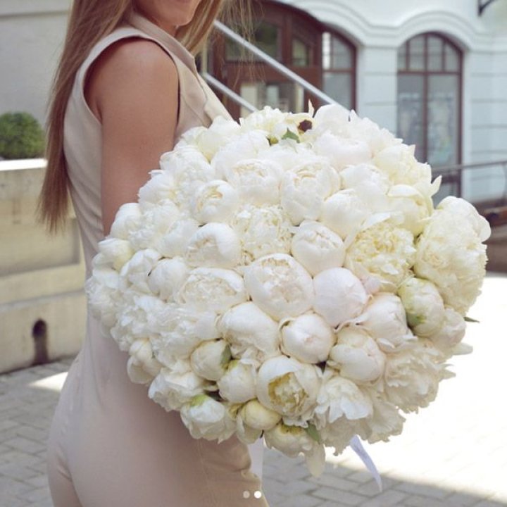 51 белый пион в Волжские