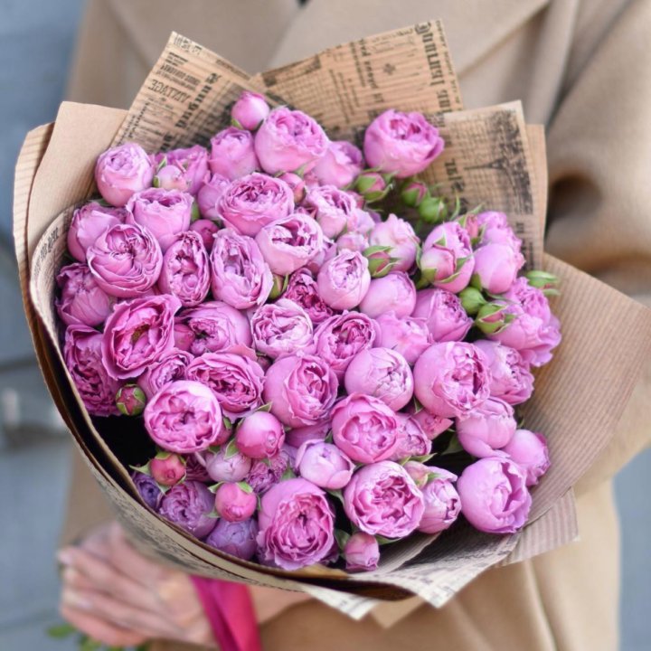 Роза Мисти Баблс в Волжские