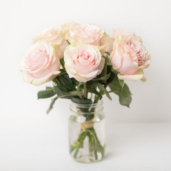 7 кремовых роз в Волжские