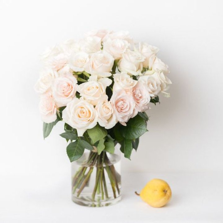 25 кремовых роз в Волжские