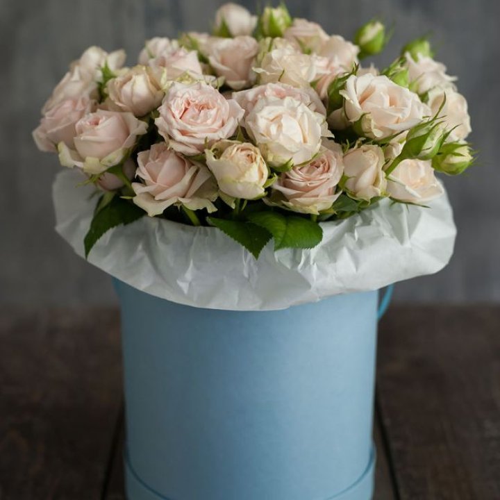 Бокс с бомбастиком в Волжские