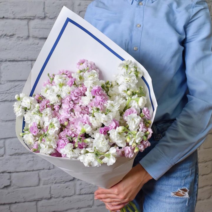 Маттиола в Волжские