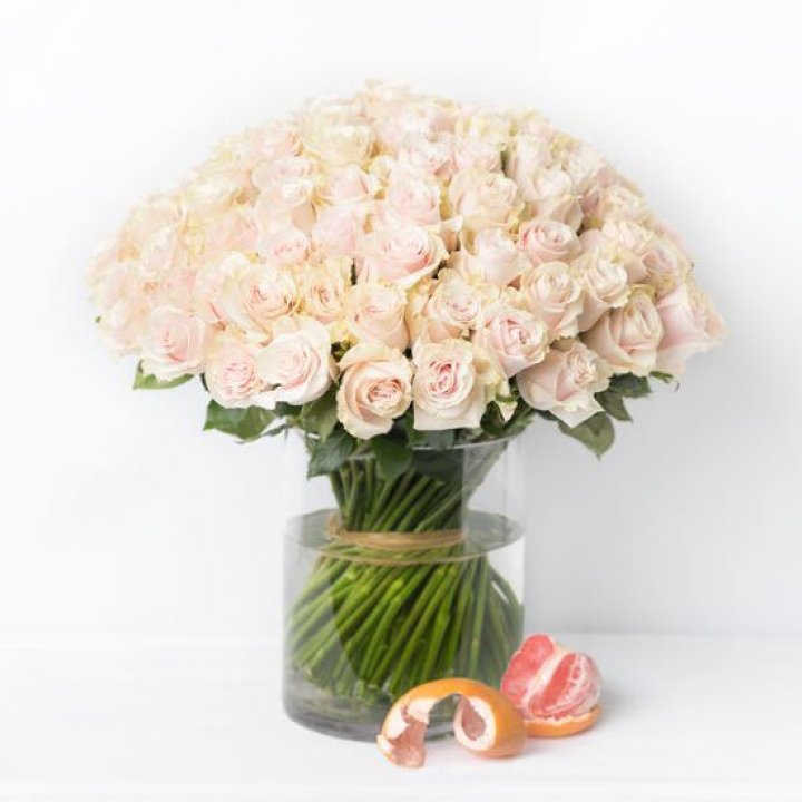 101 кремовая роза в Волжские