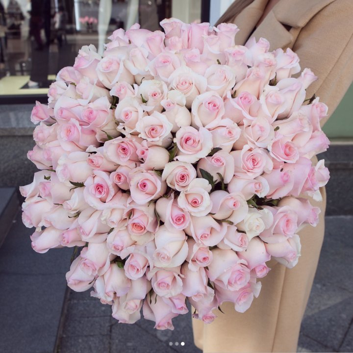 Розы "Пинк бум" в Волжские