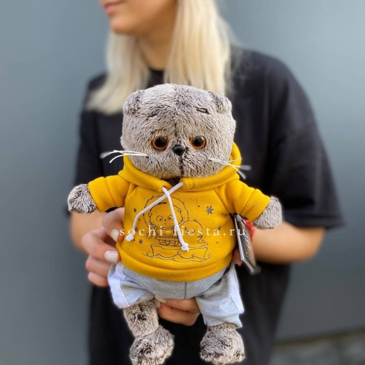 Кот Басик в худи в Волжские