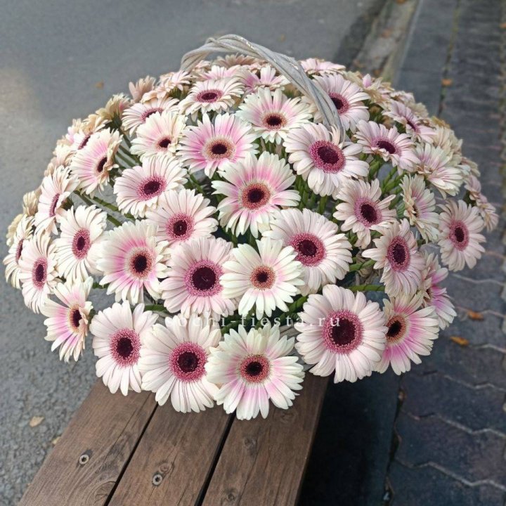 Корзина с герберами  в Волжские