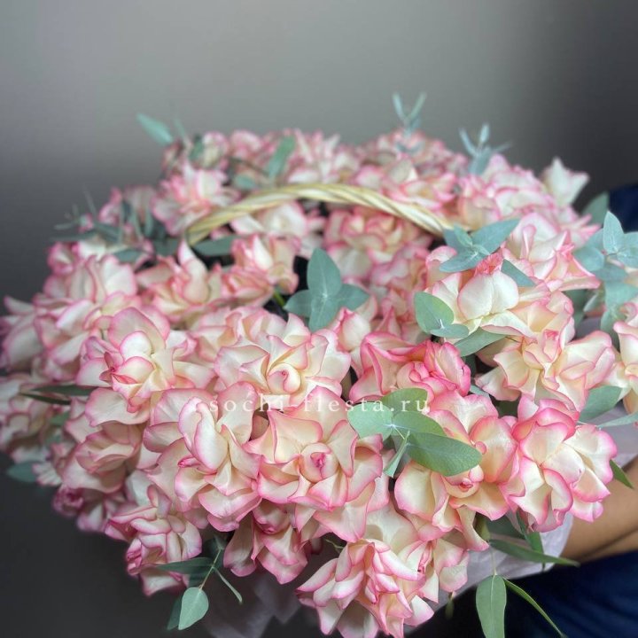 51 джумилия  в корзине   в Волжские