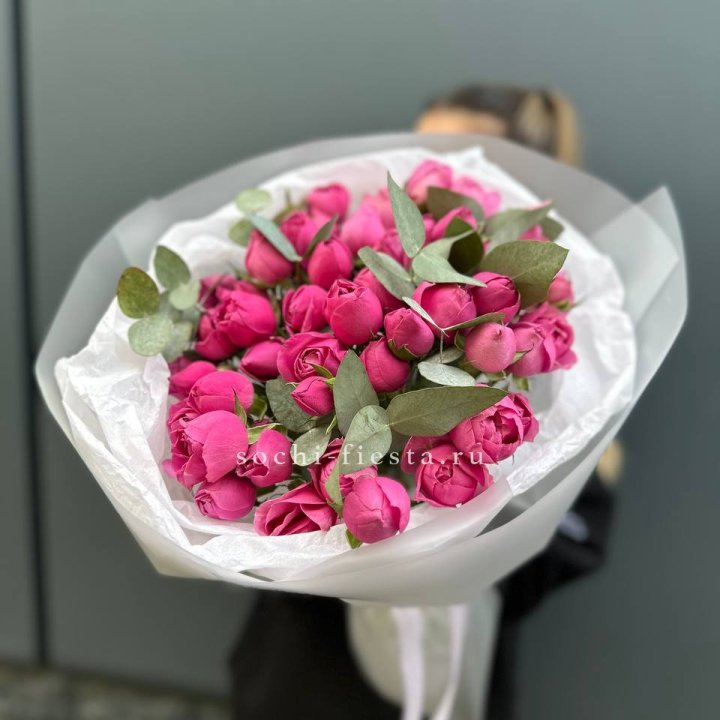 17 Мисти бабблс в Волжские