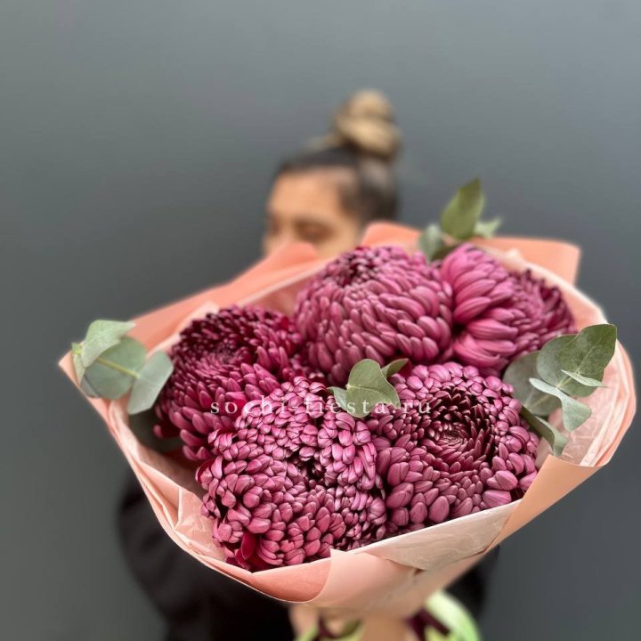 Хризантемы  Бигуди  в Волжские