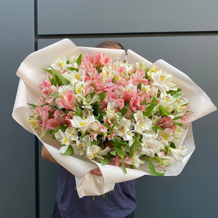 39 альстромерий в Волжские