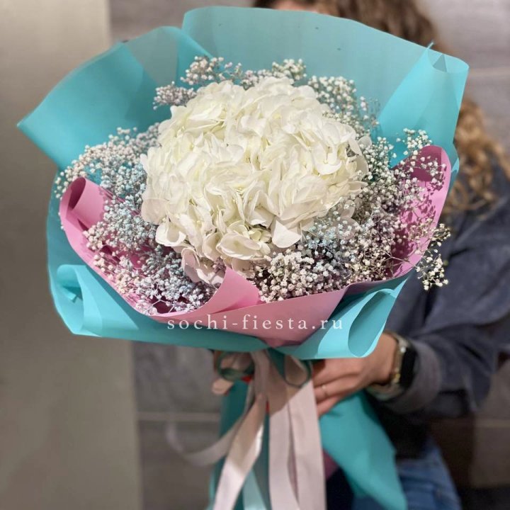 Гортензия "Райдов" в Волжские