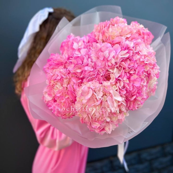 7 ярко розовых гортензий в Волжские